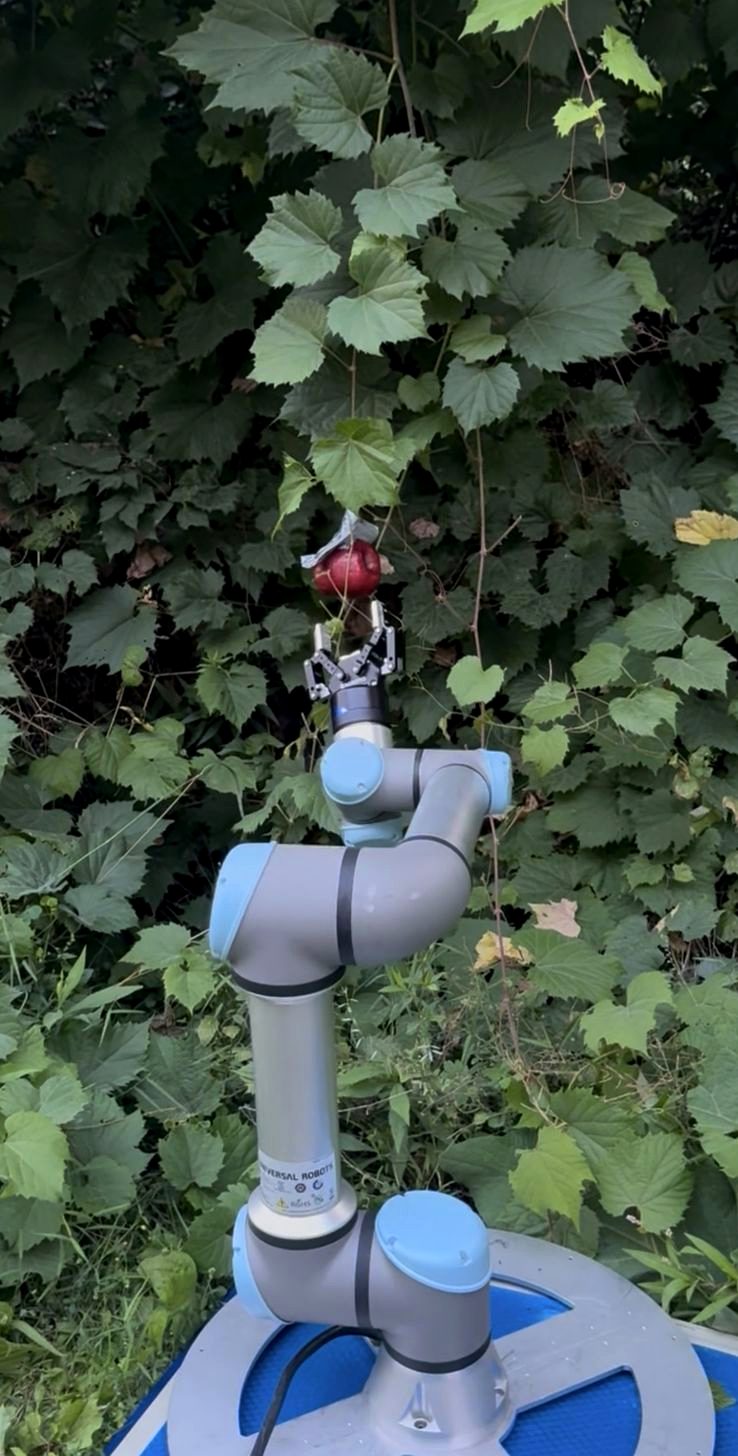 A Ficio picking arm lifting an apple from the tree